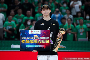 ATP年终总决赛男单小组赛：弗里茨0-2德米纳尔